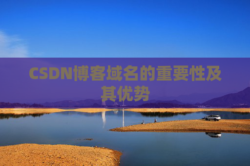 CSDN博客域名的重要性及其优势